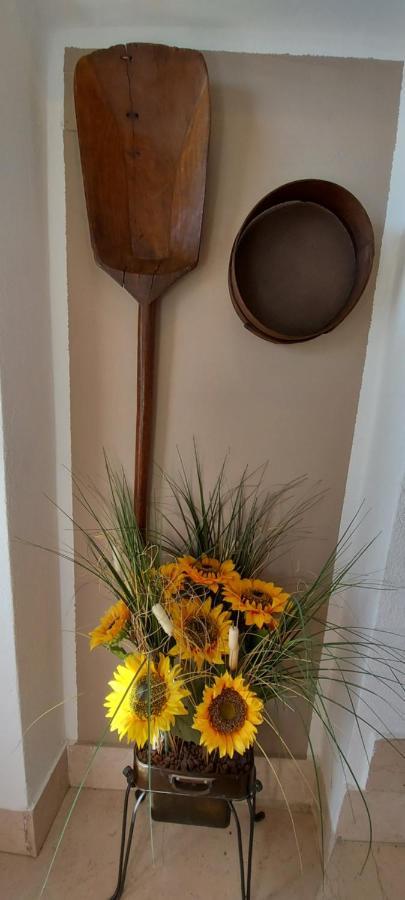 Agriturismo Il Colle سيينا المظهر الخارجي الصورة