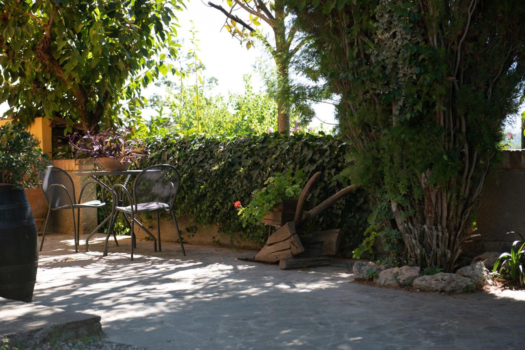 Agriturismo Il Colle سيينا المظهر الخارجي الصورة