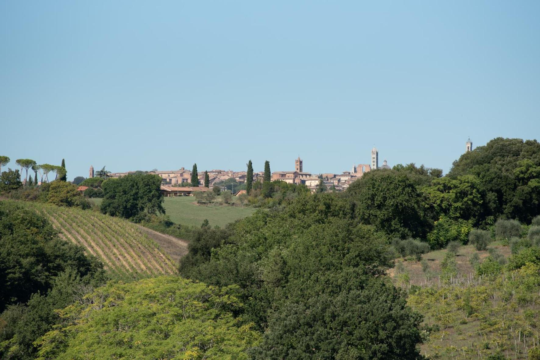 Agriturismo Il Colle سيينا المظهر الخارجي الصورة