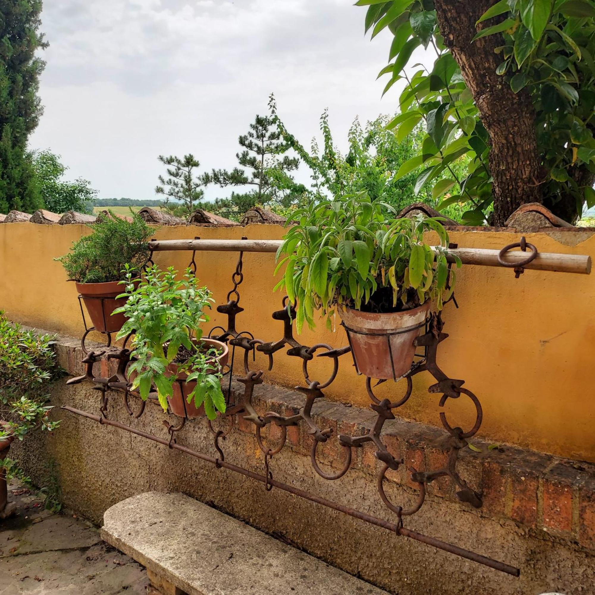 Agriturismo Il Colle سيينا المظهر الخارجي الصورة