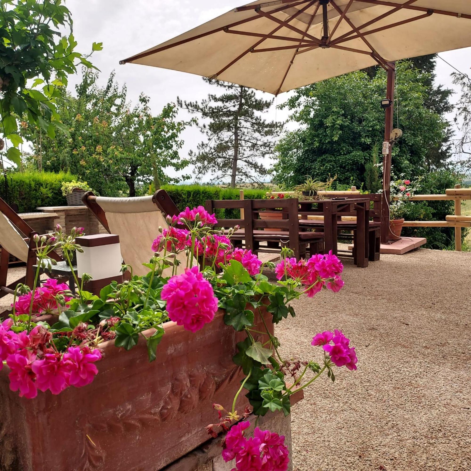 Agriturismo Il Colle سيينا المظهر الخارجي الصورة