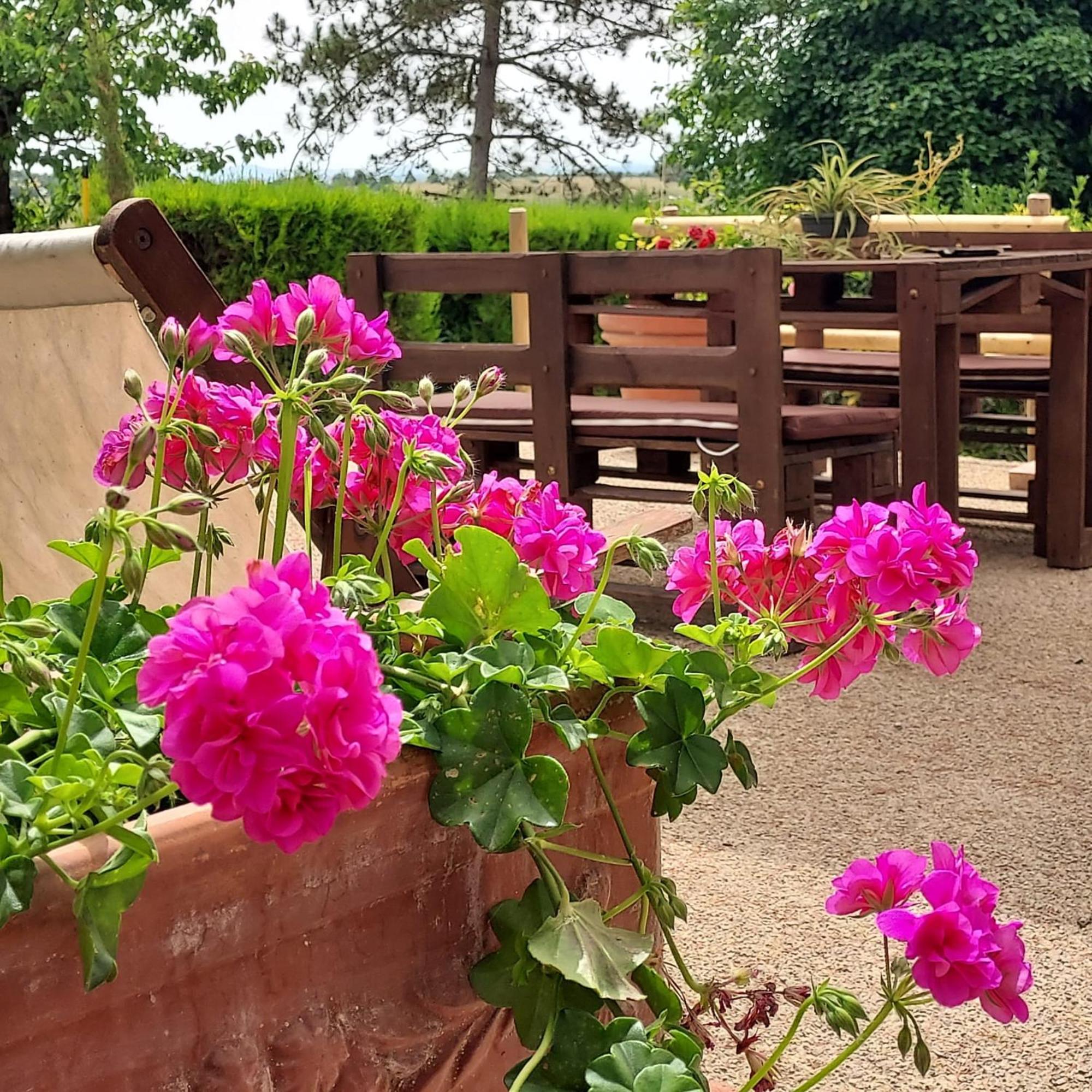 Agriturismo Il Colle سيينا المظهر الخارجي الصورة