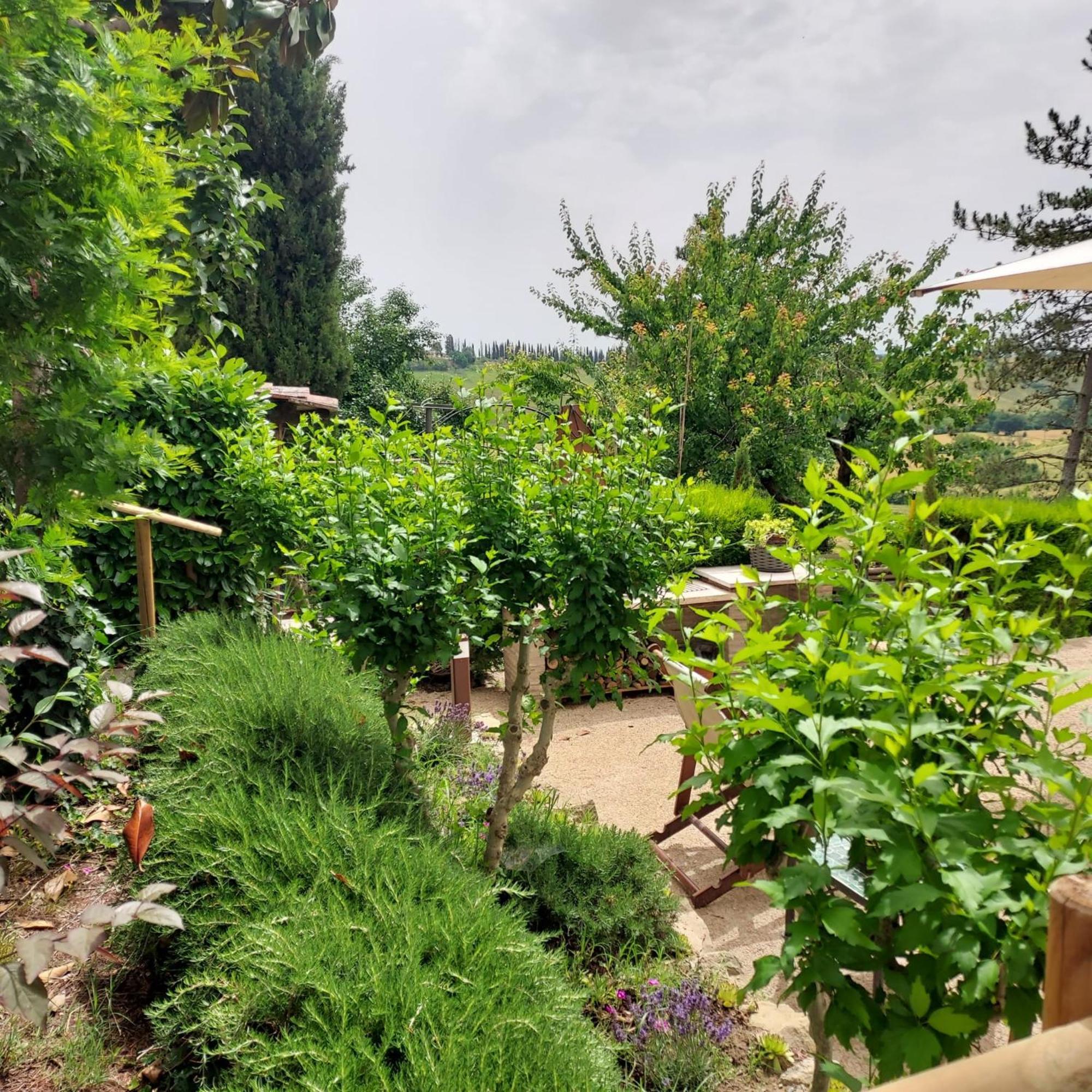 Agriturismo Il Colle سيينا المظهر الخارجي الصورة