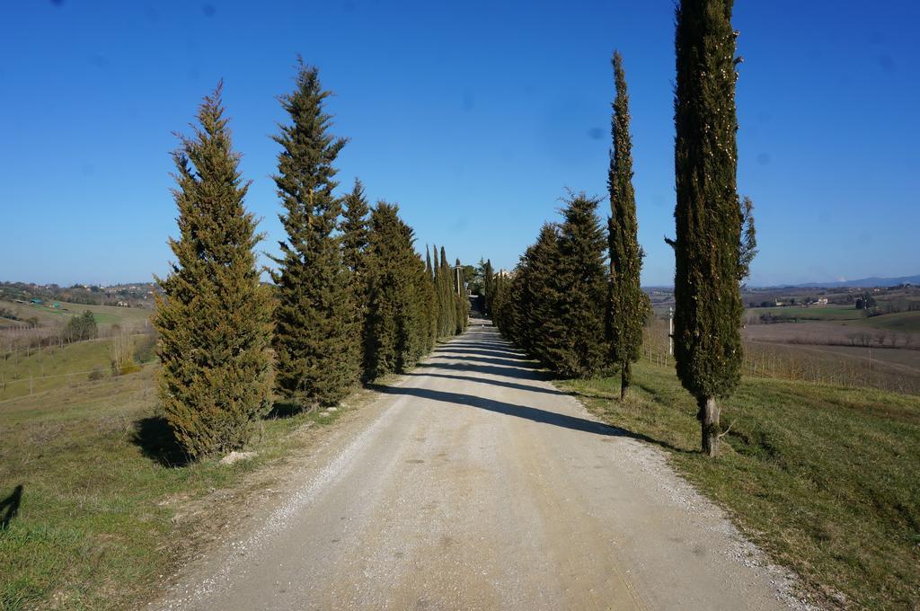 Agriturismo Il Colle سيينا المظهر الخارجي الصورة